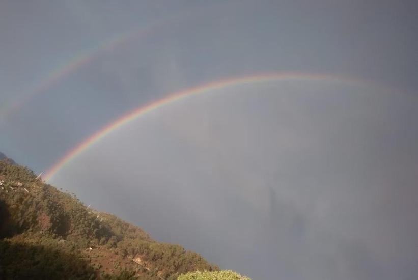 מלון ראניכט The Royal Mountain מראה חיצוני תמונה